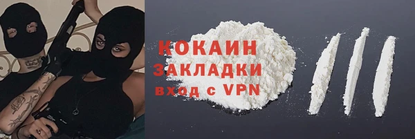 твердый Алексин