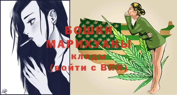стафф Дмитриев