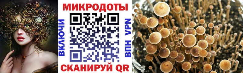 Галлюциногенные грибы Magic Shrooms  Циолковский 