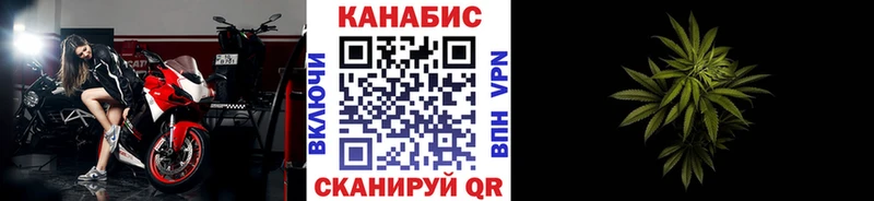 Бошки Шишки Amnesia  купить наркоту  Циолковский 